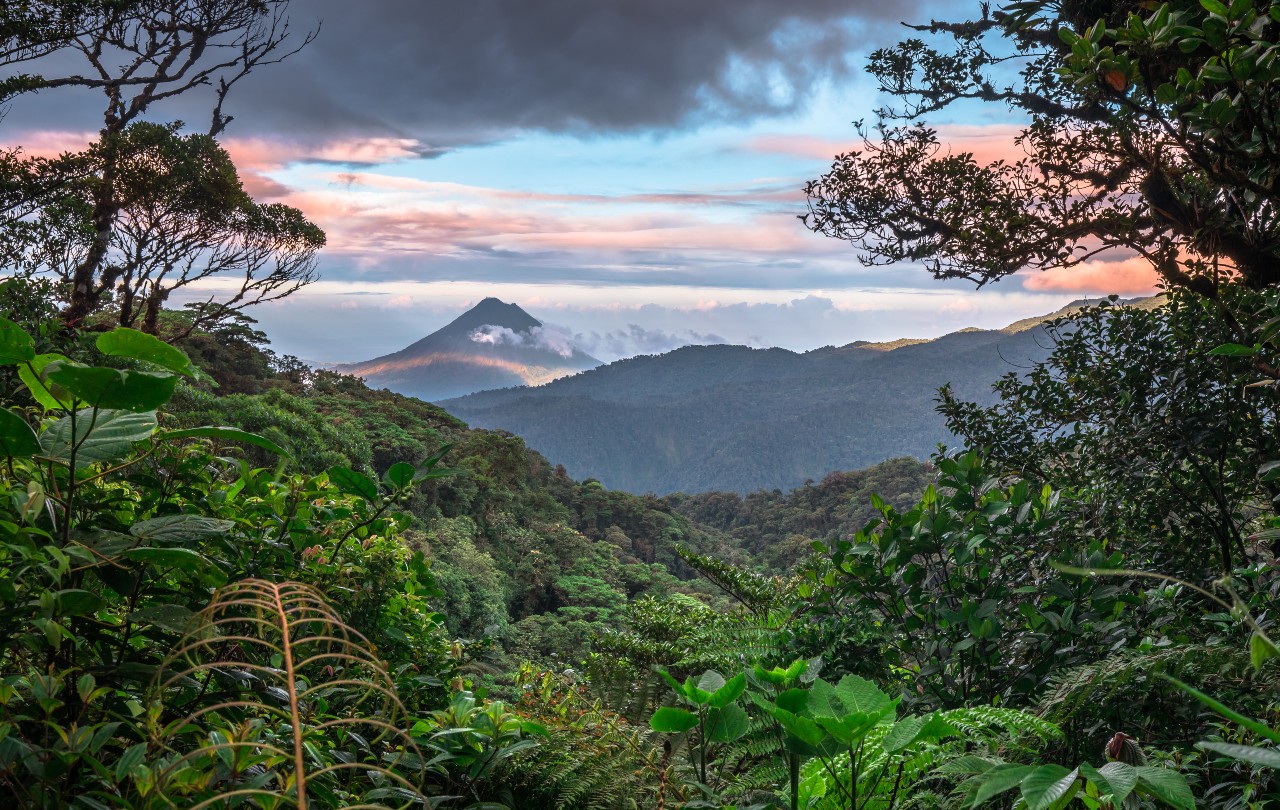 Costa Rica Regenwald