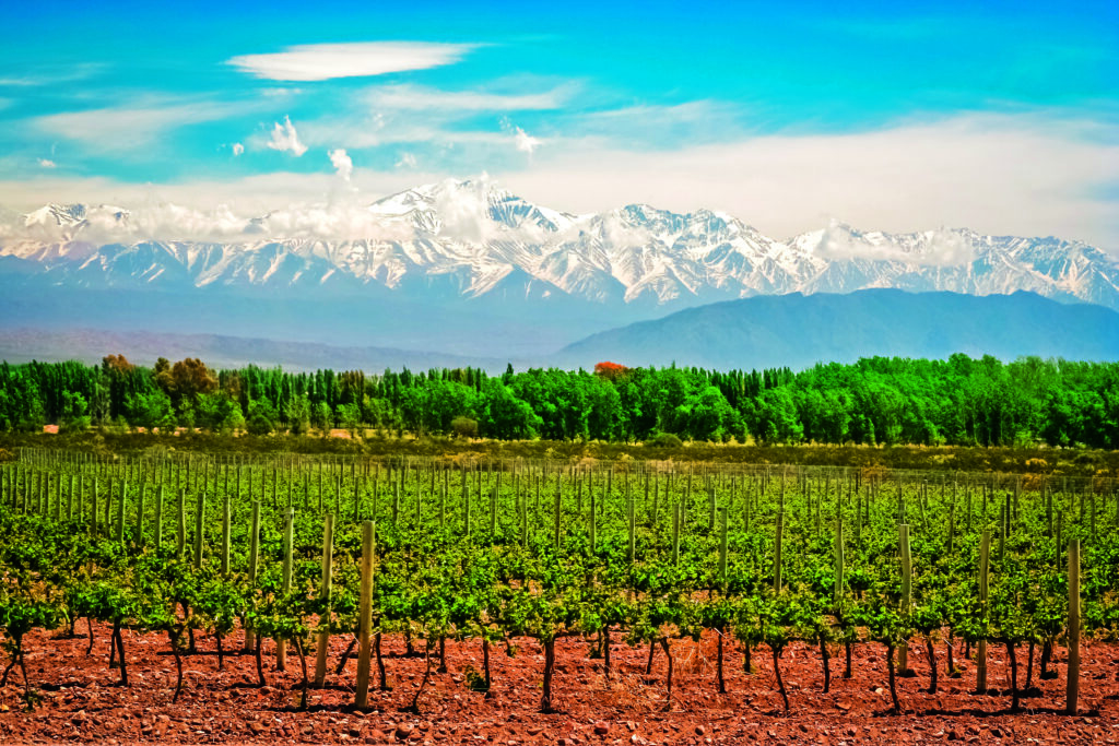 Mendoza