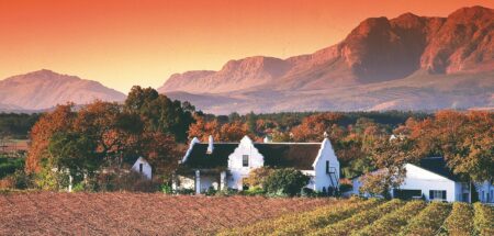 Stellenbosch Winelands