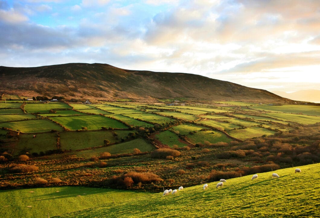 Dingle Halbinsel