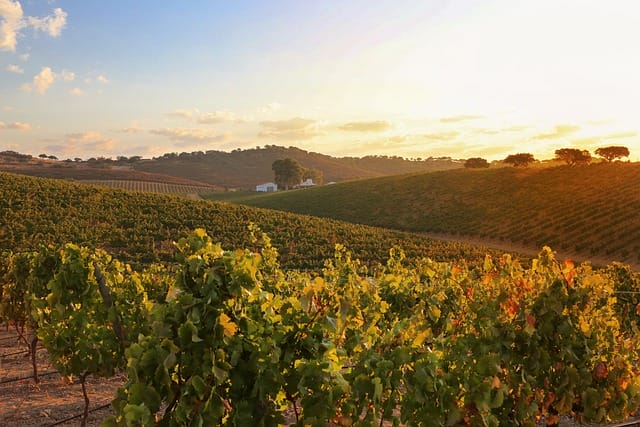 Alentejo