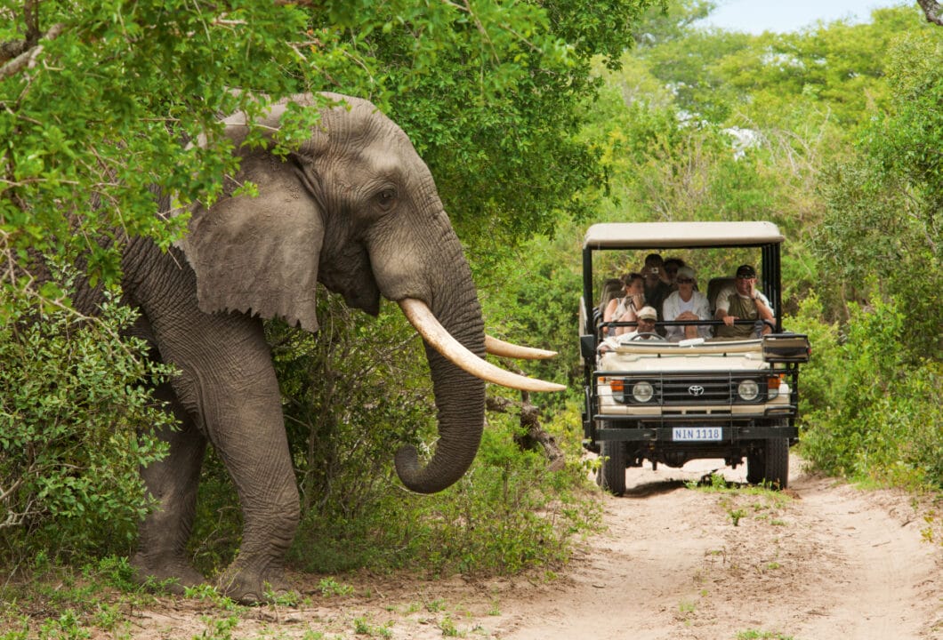 Krüger Nationalpark